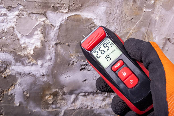 Best Mold Testing  in Lindale, TX
