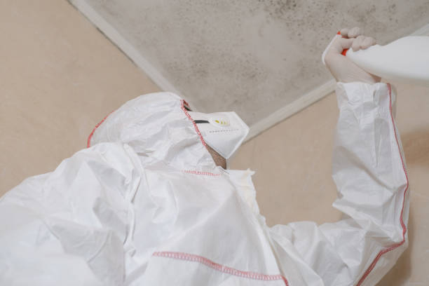 Best Crawl Space Mold Removal  in Lindale, TX